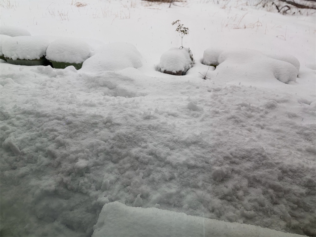 f:id:Nonapenta:20260124154223j:image