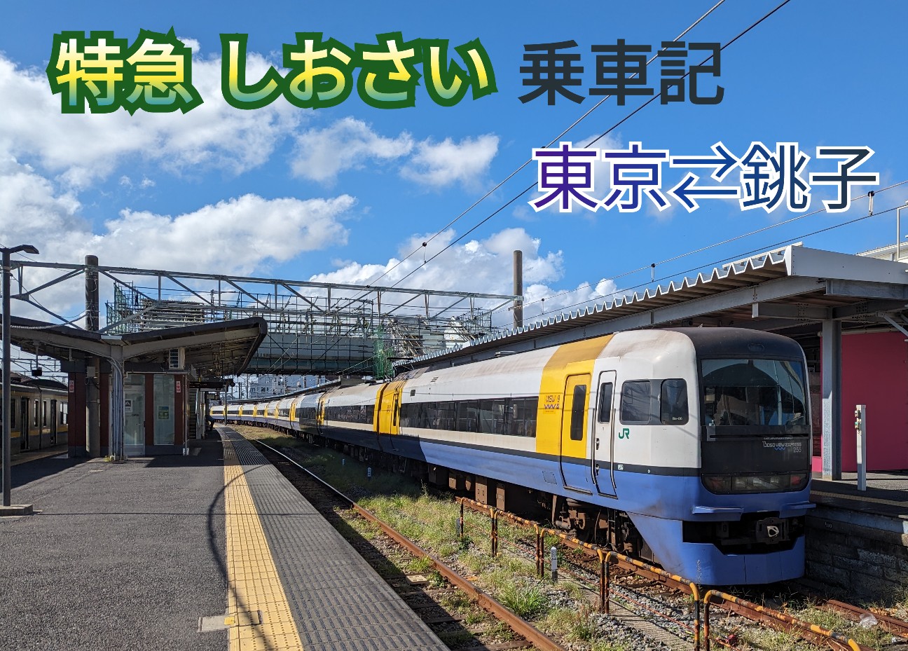 乗車記】特急しおさい3号、10号乗車記〘東京〜銚子〜東京〙 - のんびり