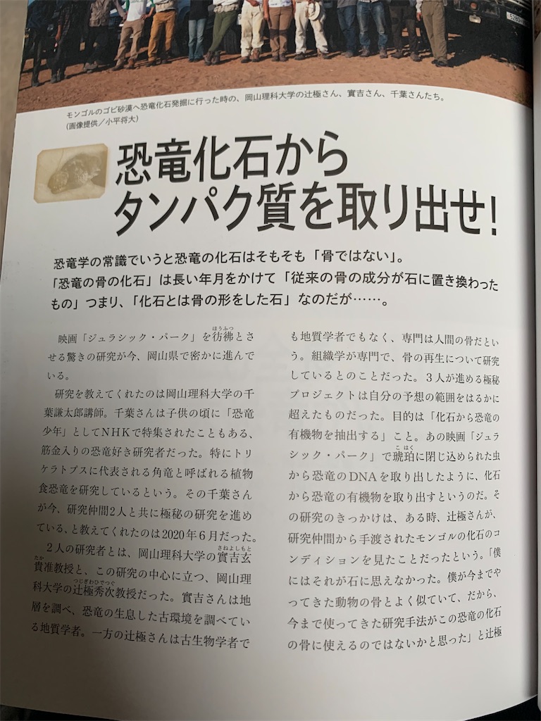 f:id:Nonsugar_Tea:20230607202741j:image