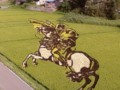 田んぼアート2009_ナポレオン