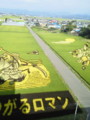 田んぼアート2010