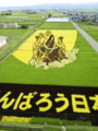 田んぼアート2011_2