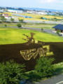 [携帯で風景]田んぼアート2012_2_2