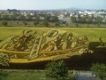 [携帯で風景]田んぼアート2012_2_1