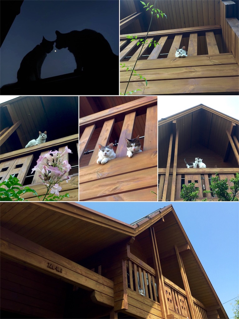 f:id:Noranekojiro:20171211121832j:image f:id:Noranekojiro:20171211121832j:image