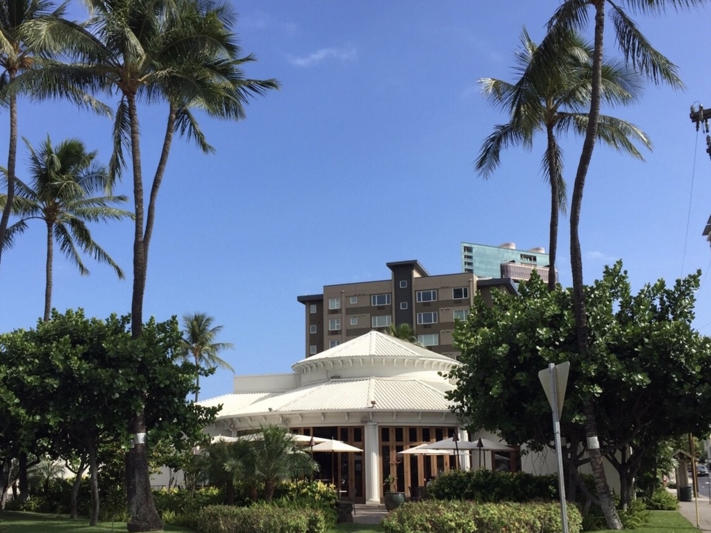 f:id:NoriHiro:20180506170816j:plain f:id:NoriHiro:20180506170816j:plain