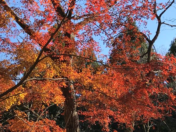 f:id:Norikun-traveldiary:20191222150433j:plain