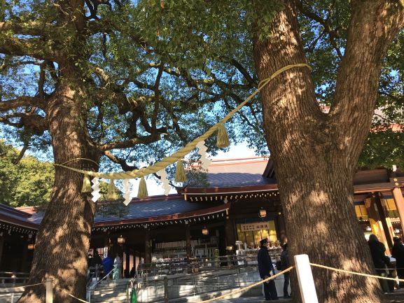 f:id:Norikun-traveldiary:20200108210050j:plain