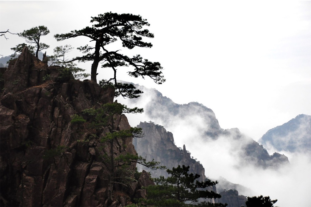 f:id:Nosuke-715:20221015202645j:image f:id:Nosuke-715:20221015202645j:image