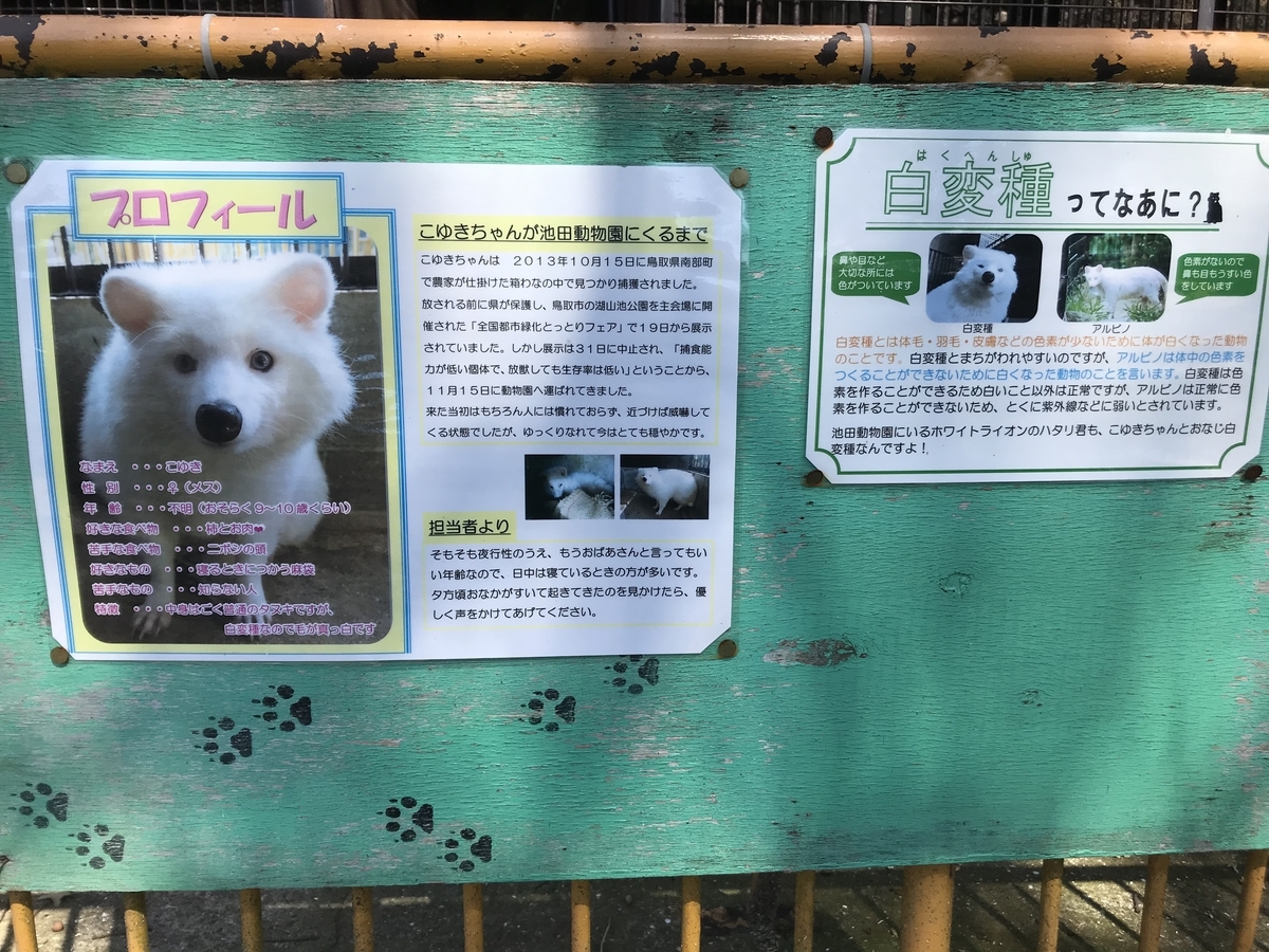 f:id:Nozoomki:20200329165630j:plain f:id:Nozoomki:20200329165630j:plain