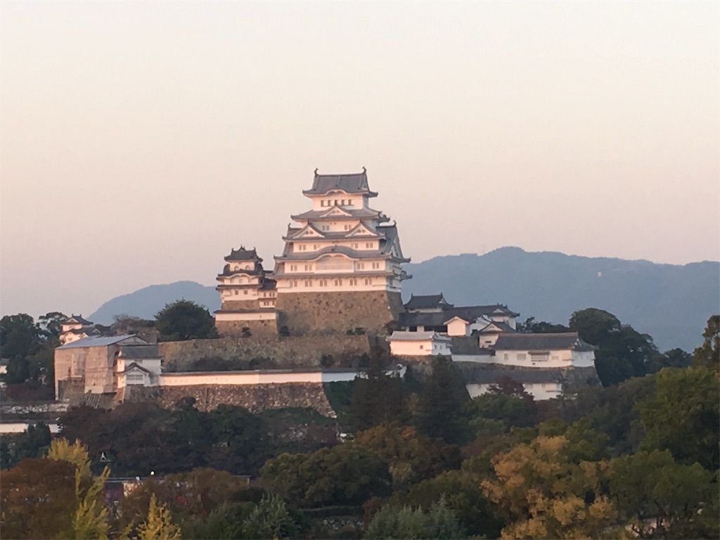 f:id:Nscherry:20191027070547j:image