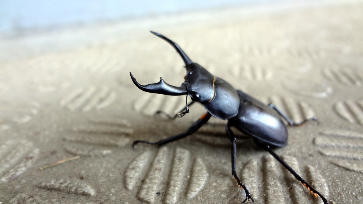 f:id:OBASAN:20200609191852j:plain