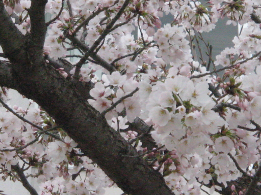 f:id:OBONO:20110410171339j:image