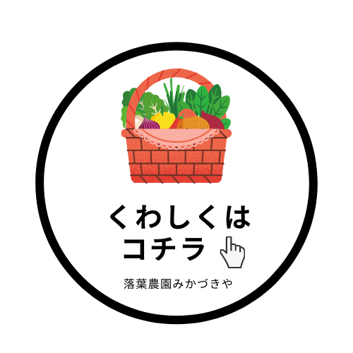 f:id:OGUROBBY:20200901102804p:plain