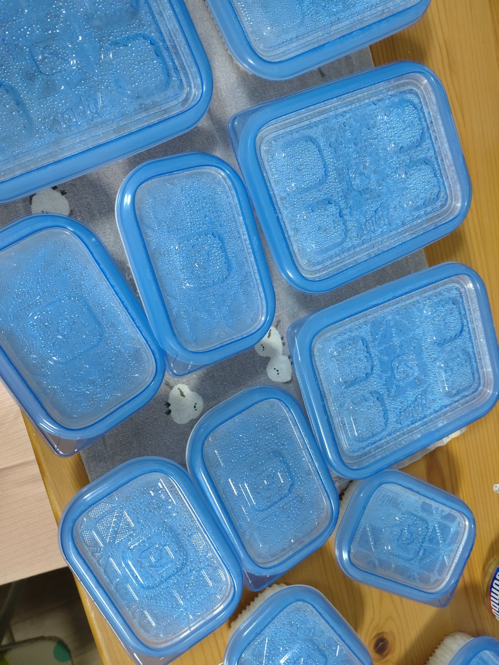 f:id:OHAGI0816:20260207184434j:image