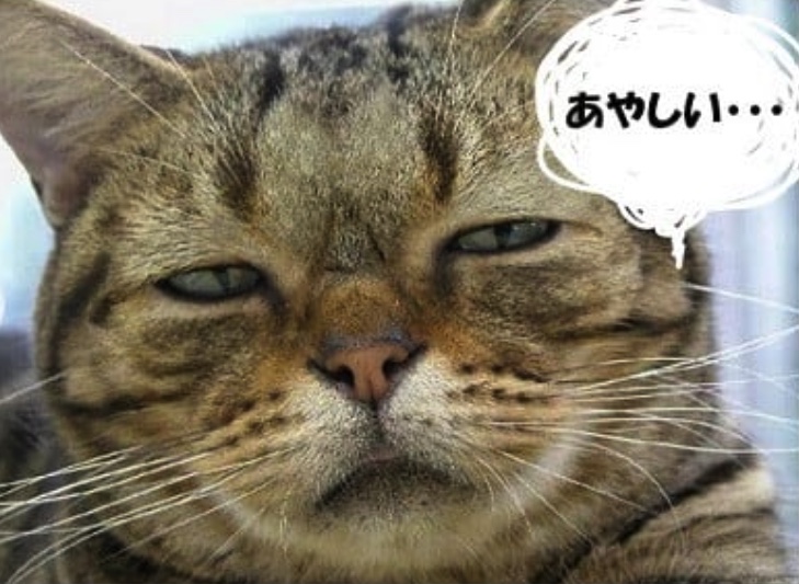 f:id:OHhiro:20191104105106j:plain f:id:OHhiro:20191104105106j:plain