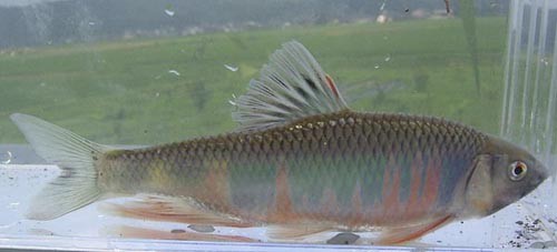 f:id:OIKAWAMARU:20061129174102j:image f:id:OIKAWAMARU:20061129174102j:image