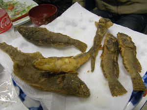 f:id:OIKAWAMARU:20090108021129j:image