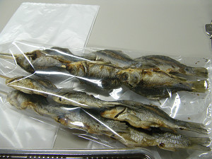 f:id:OIKAWAMARU:20090119182516j:image