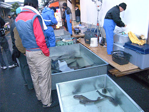 f:id:OIKAWAMARU:20090119182644j:image