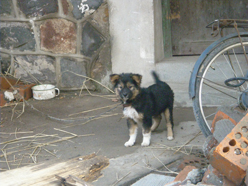 f:id:OIKAWAMARU:20091122091511j:image
