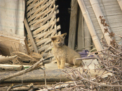 f:id:OIKAWAMARU:20091122091952j:image