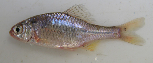 f:id:OIKAWAMARU:20100107202846j:image