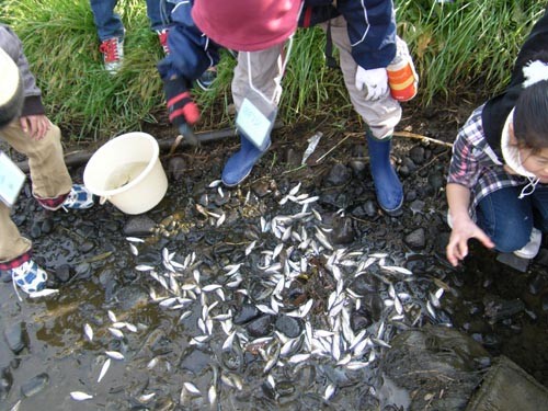 f:id:OIKAWAMARU:20100130102900j:image f:id:OIKAWAMARU:20100130102900j:image