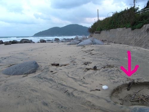 f:id:OIKAWAMARU:20101026065050j:image