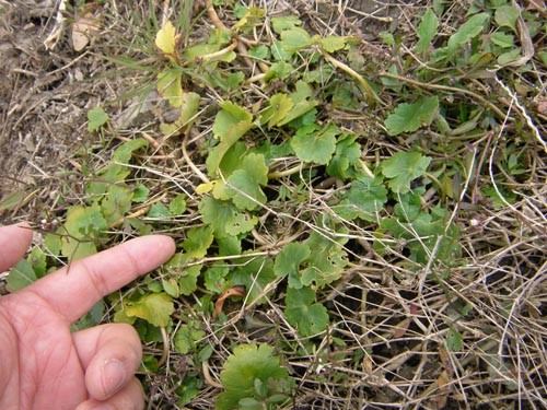 f:id:OIKAWAMARU:20101206110636j:image f:id:OIKAWAMARU:20101206110636j:image