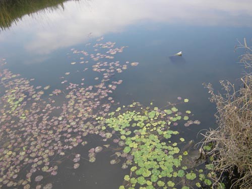 f:id:OIKAWAMARU:20101206124138j:image f:id:OIKAWAMARU:20101206124138j:image