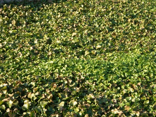 f:id:OIKAWAMARU:20101206144654j:image f:id:OIKAWAMARU:20101206144654j:image