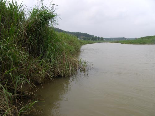 f:id:OIKAWAMARU:20110725144916j:image