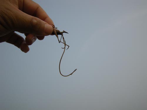 f:id:OIKAWAMARU:20110725180738j:image