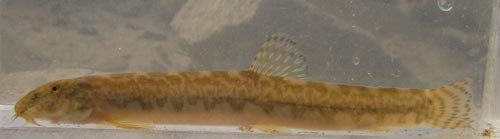 f:id:OIKAWAMARU:20110803180348j:image