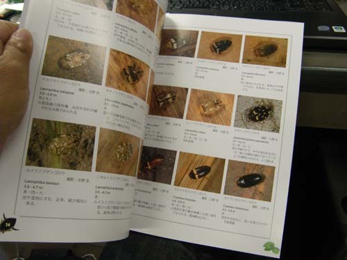 f:id:OIKAWAMARU:20110826112959j:image f:id:OIKAWAMARU:20110826112959j:image