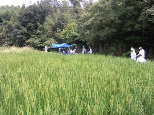 f:id:OIKAWAMARU:20110831114901j:image