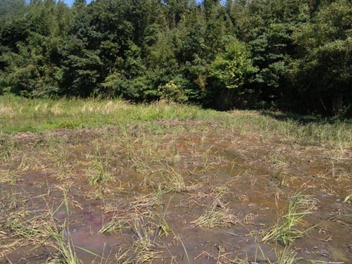 f:id:OIKAWAMARU:20110914122705j:image