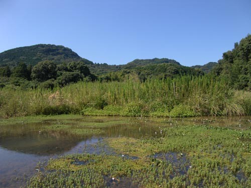 f:id:OIKAWAMARU:20110914141842j:image