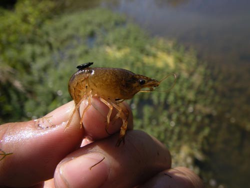 f:id:OIKAWAMARU:20110914142119j:image