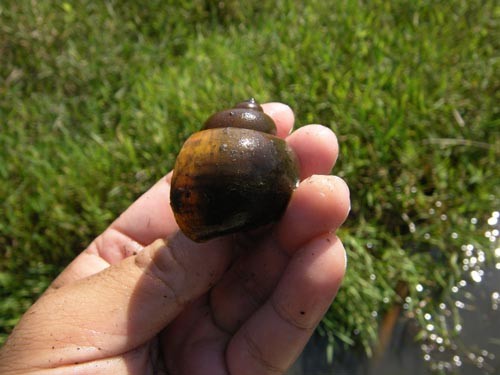 f:id:OIKAWAMARU:20110914142638j:image