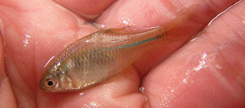 f:id:OIKAWAMARU:20120219184834j:image
