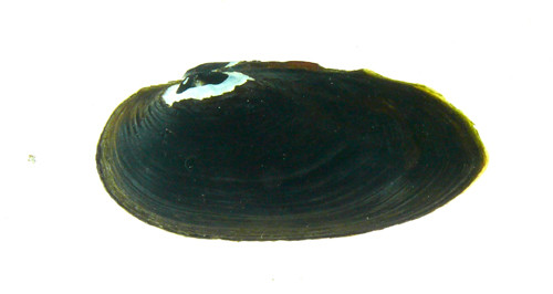 f:id:OIKAWAMARU:20120404110121j:image