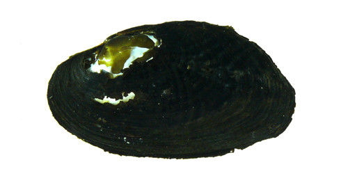 f:id:OIKAWAMARU:20120404112748j:image