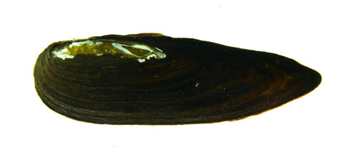 f:id:OIKAWAMARU:20120404112828j:image