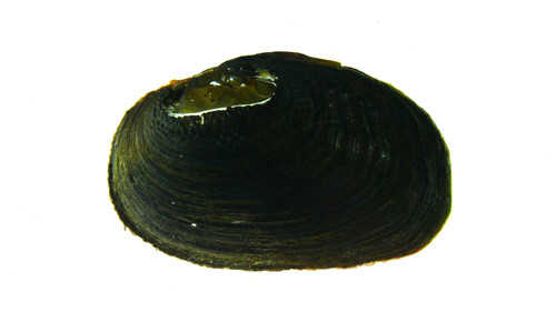 f:id:OIKAWAMARU:20120404112957j:image