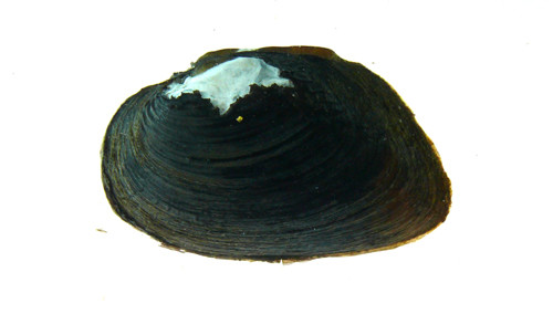 f:id:OIKAWAMARU:20120404125055j:image