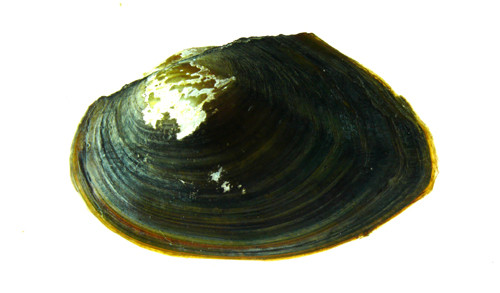 f:id:OIKAWAMARU:20120404130034j:image