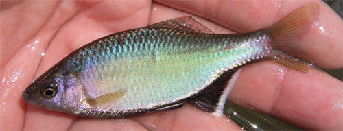 f:id:OIKAWAMARU:20120410191358j:image