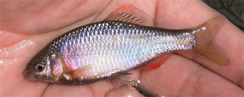 f:id:OIKAWAMARU:20120410191414j:image